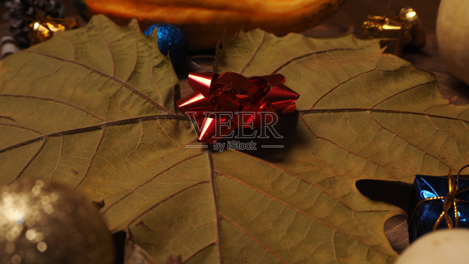 木制树桩上五颜六色的圣诞装饰。五颜六色的小南瓜和干树叶照片摄影图片