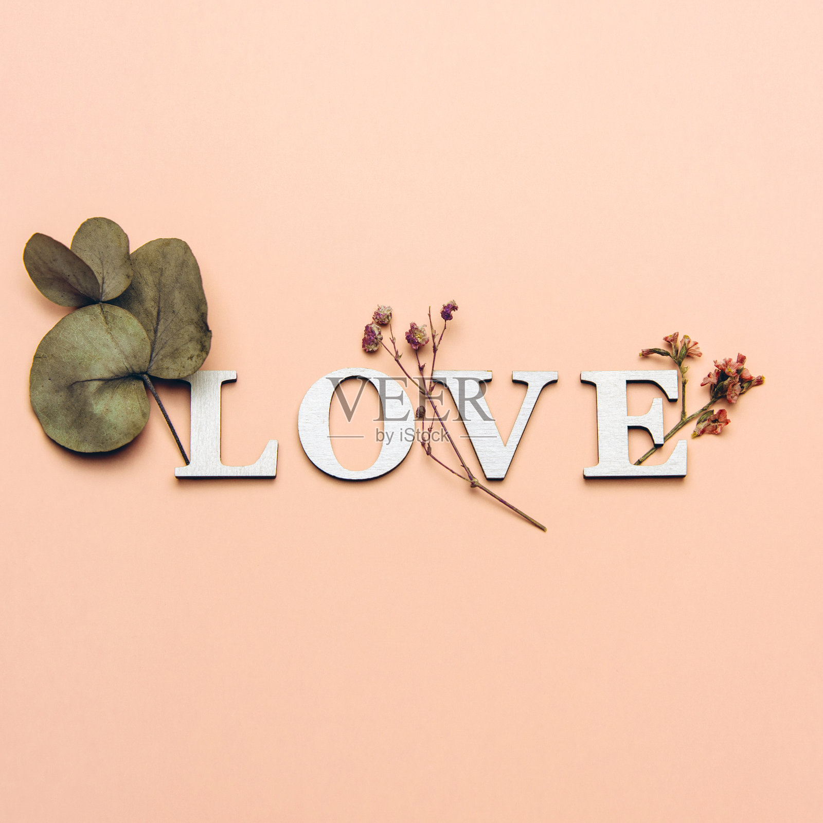 创意平面铺设字爱在柔和的颜色背景与自然植物照片摄影图片