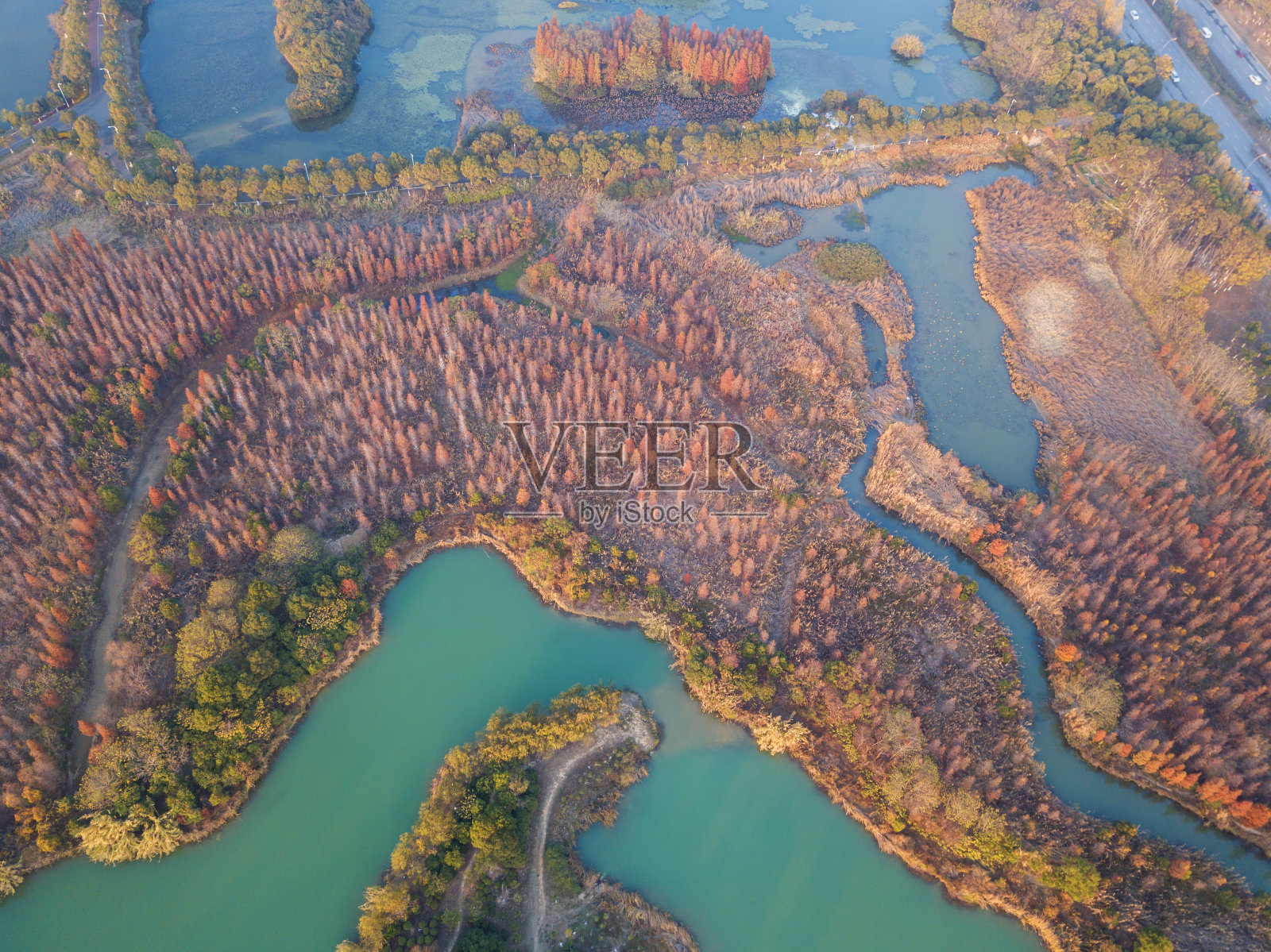 鸟瞰图，森林和湖泊照片摄影图片