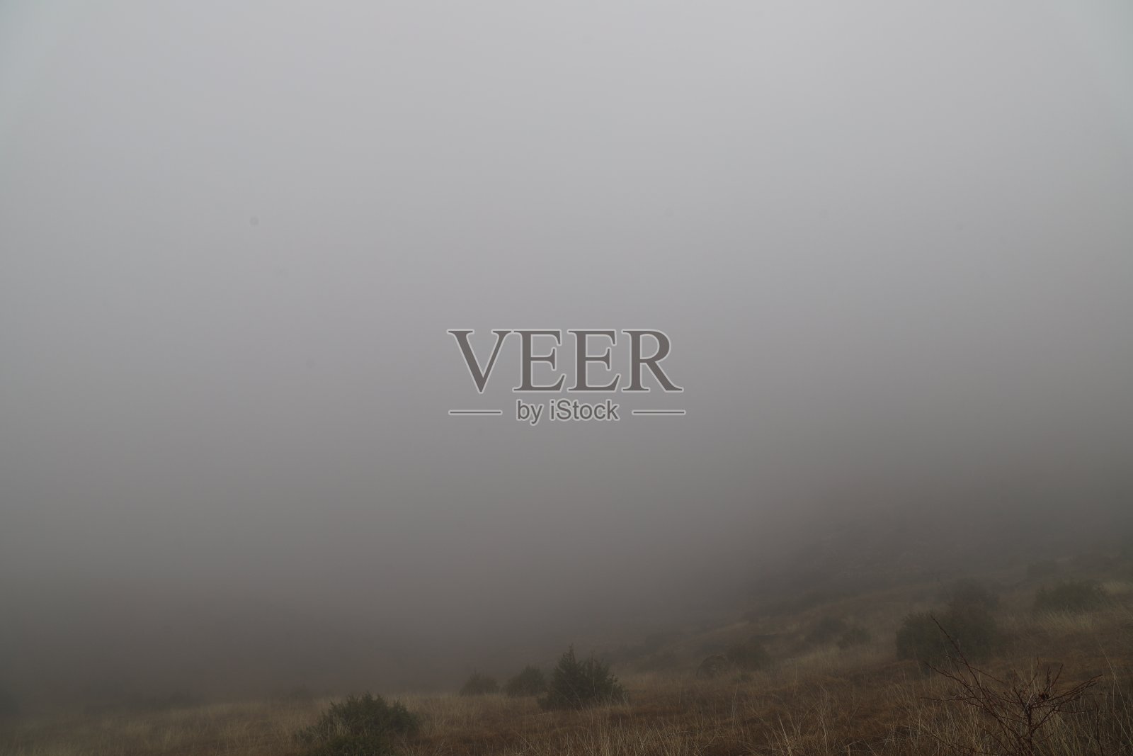 轮廓的人照片摄影图片