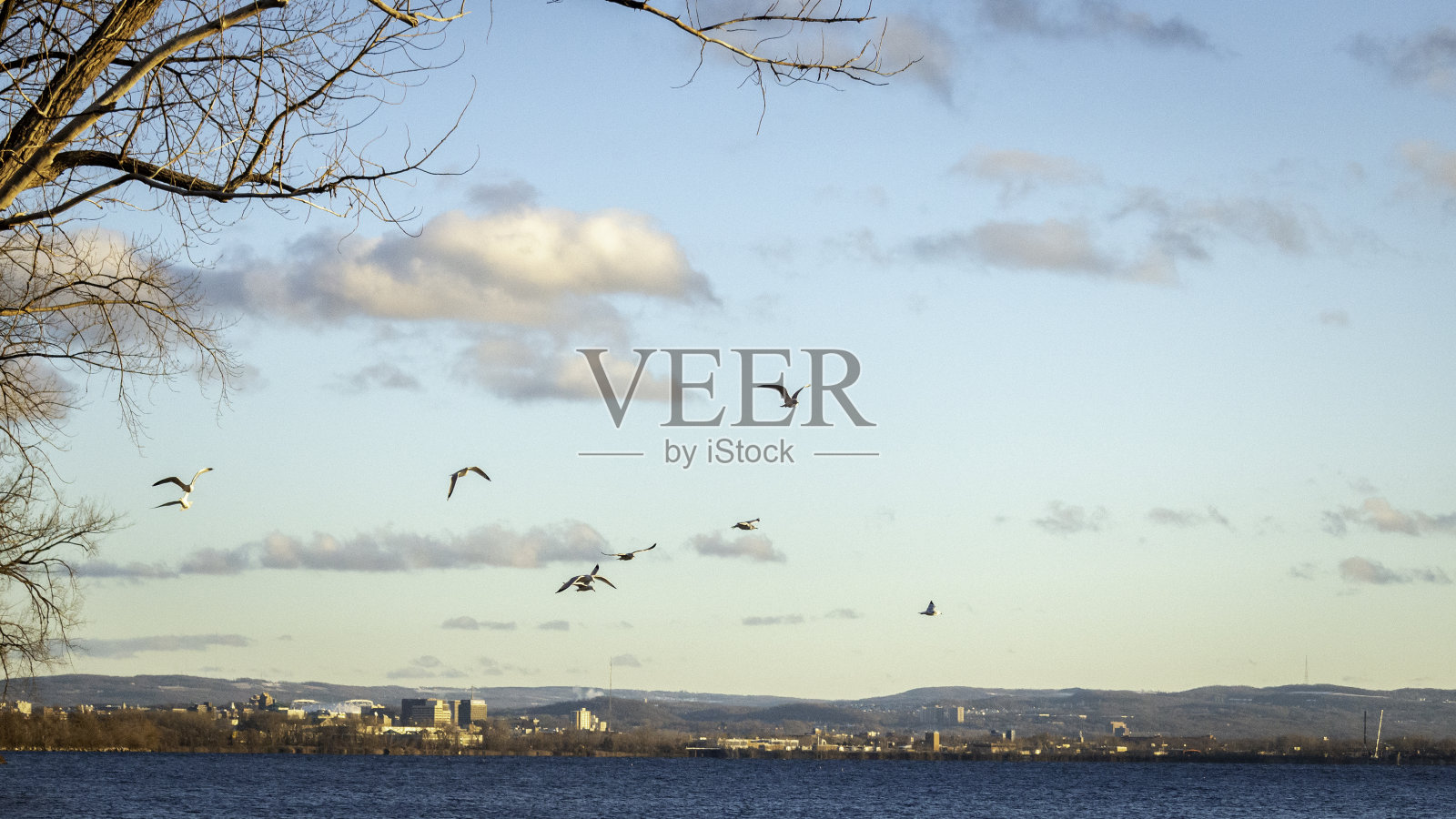 奥内达加湖，天空，云，海鸥照片摄影图片