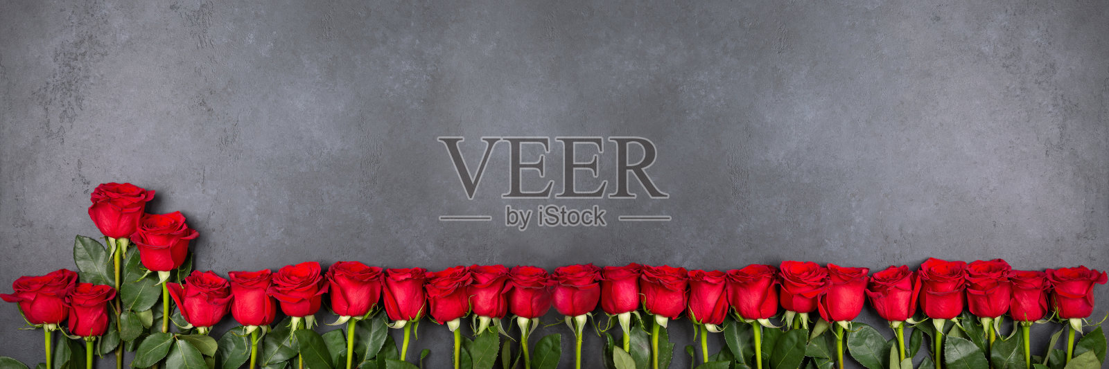 美丽的红玫瑰花在黑色的背景上。俯视图，平放，拷贝空间。花的横幅。照片摄影图片