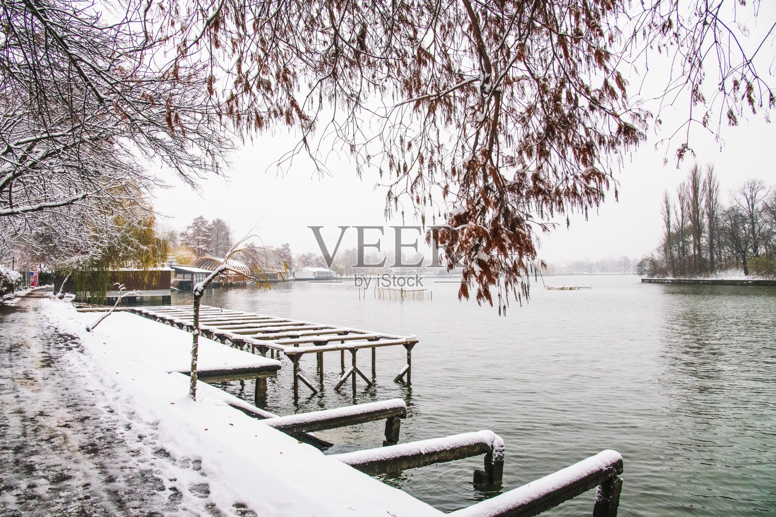 罗马尼亚布加勒斯特赫拉斯特劳公园的冬季。白雪覆盖的壮丽景色照片摄影图片