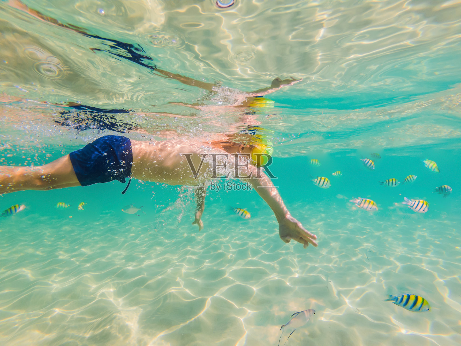 水下自然研究，男孩浮潜在清澈的蓝色海洋照片摄影图片