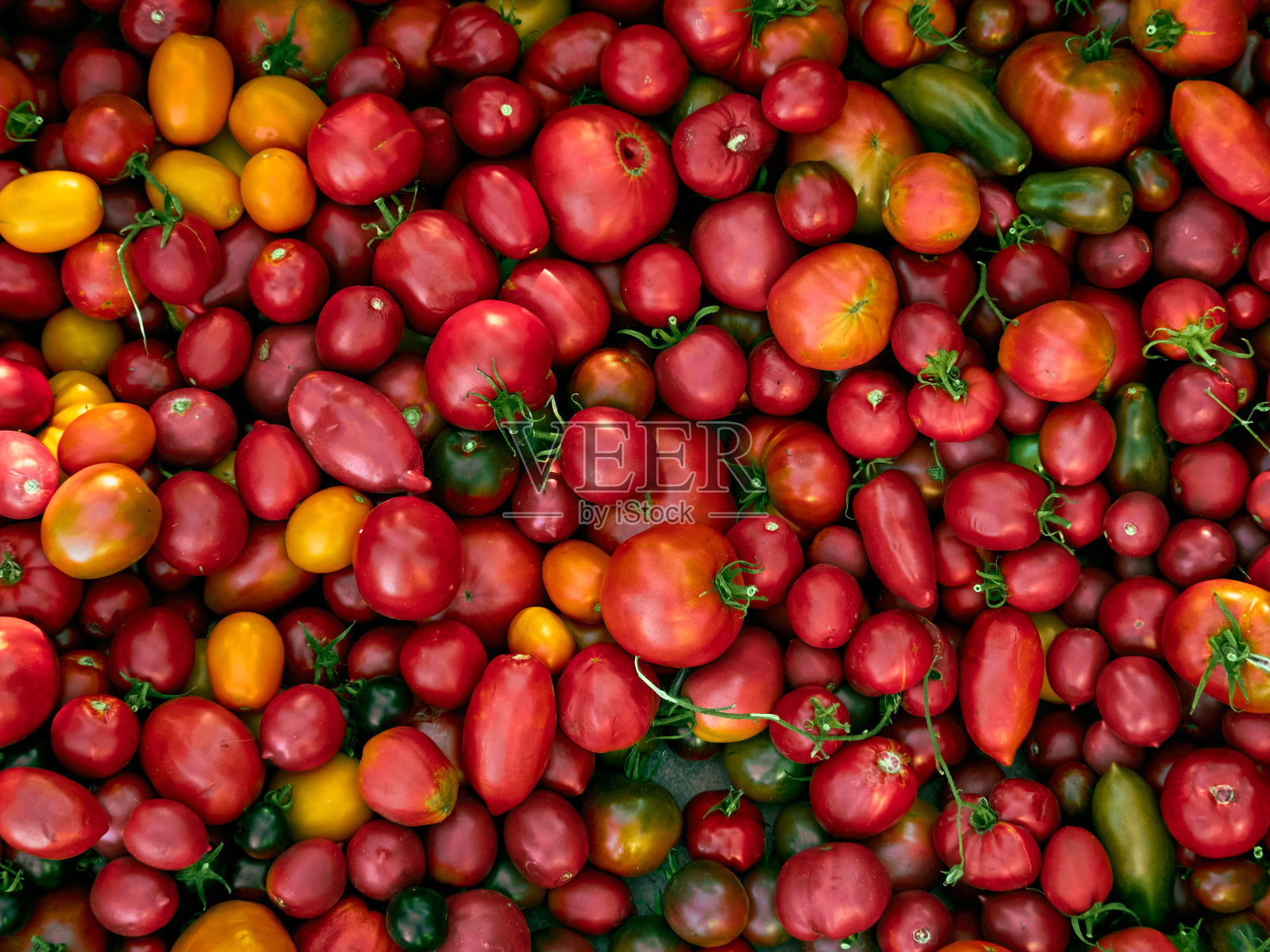 不同的多汁的西红柿。照片摄影图片