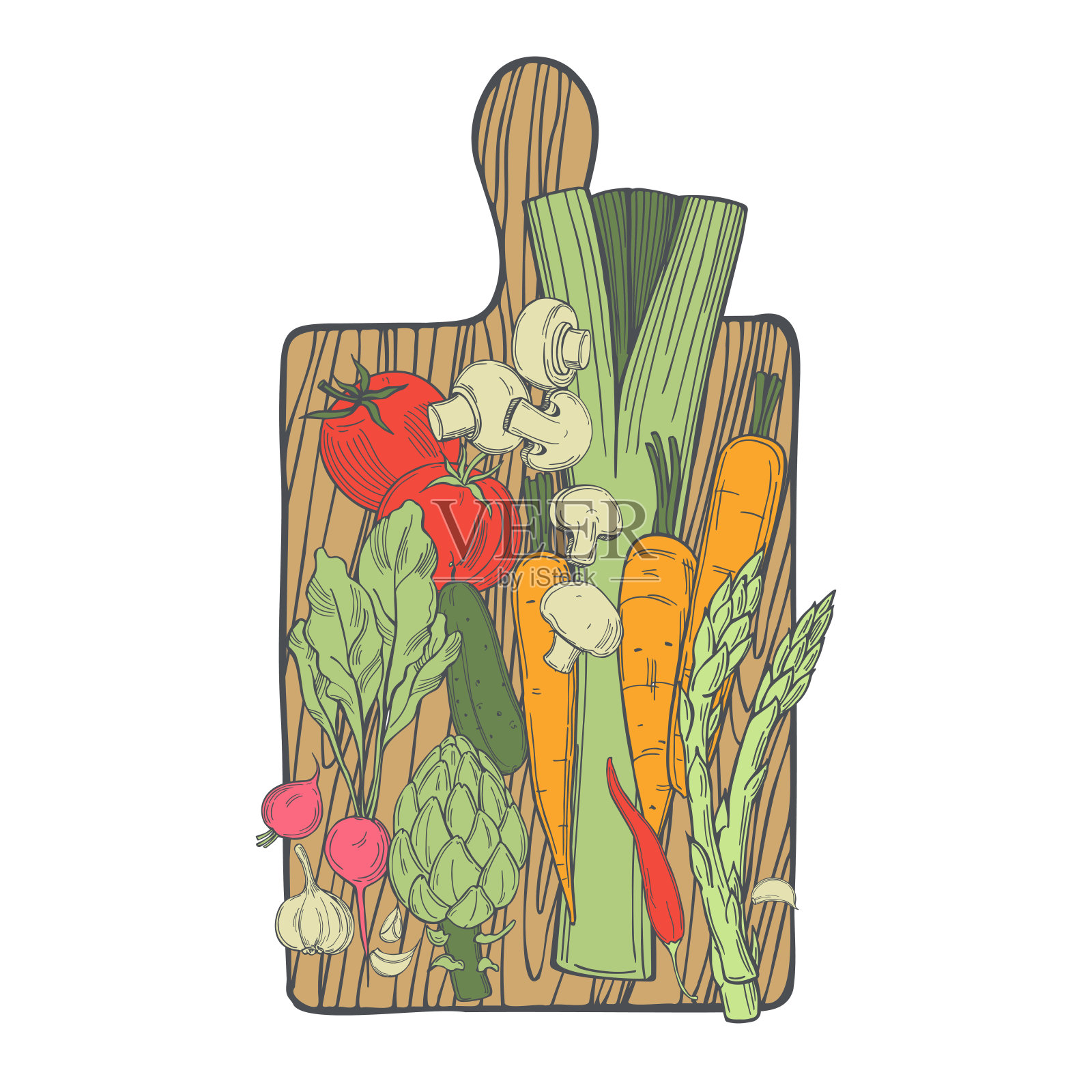 素描蔬菜。矢量图插画图片素材