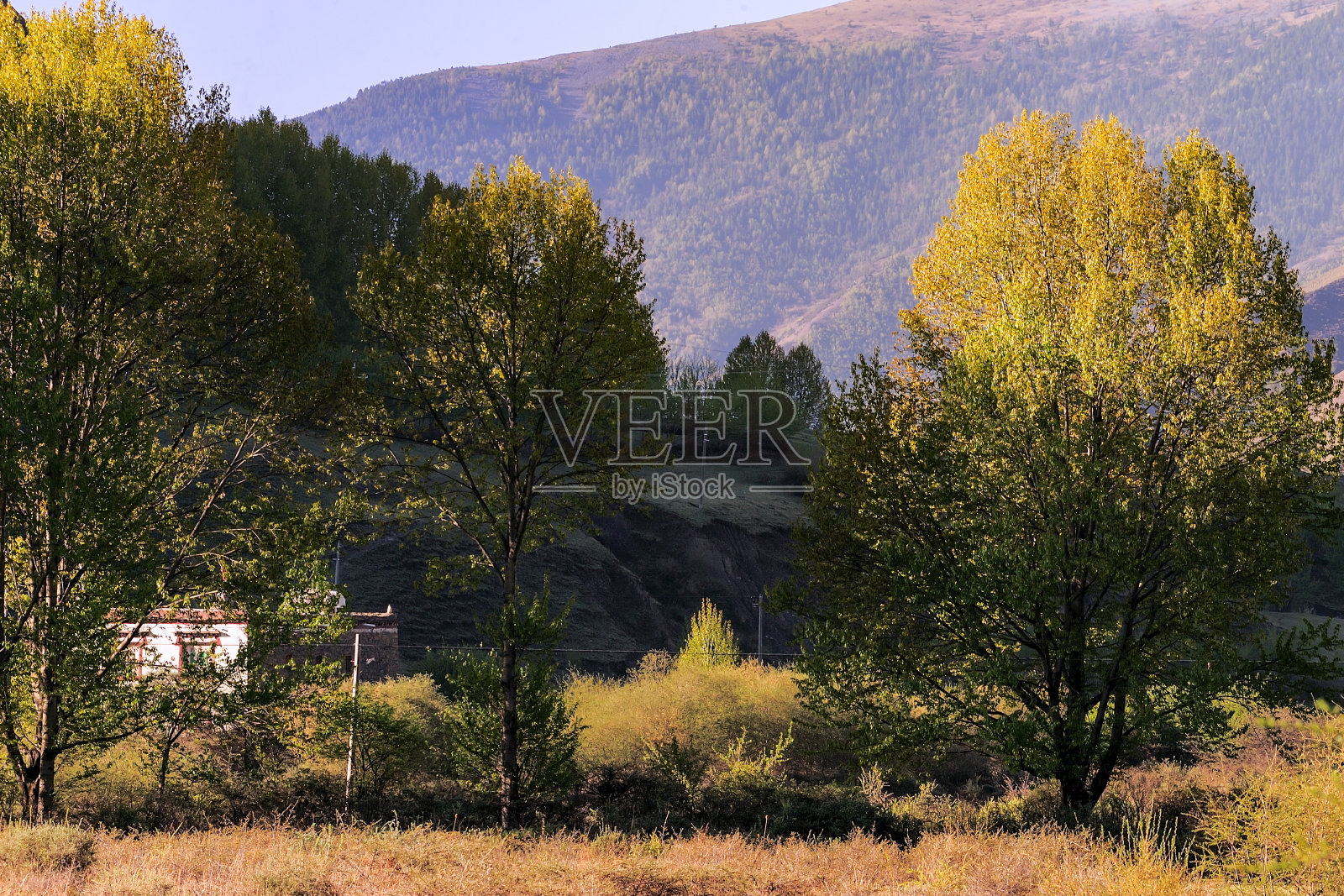 川藏康定县新都桥镇，318国道，中国照片摄影图片