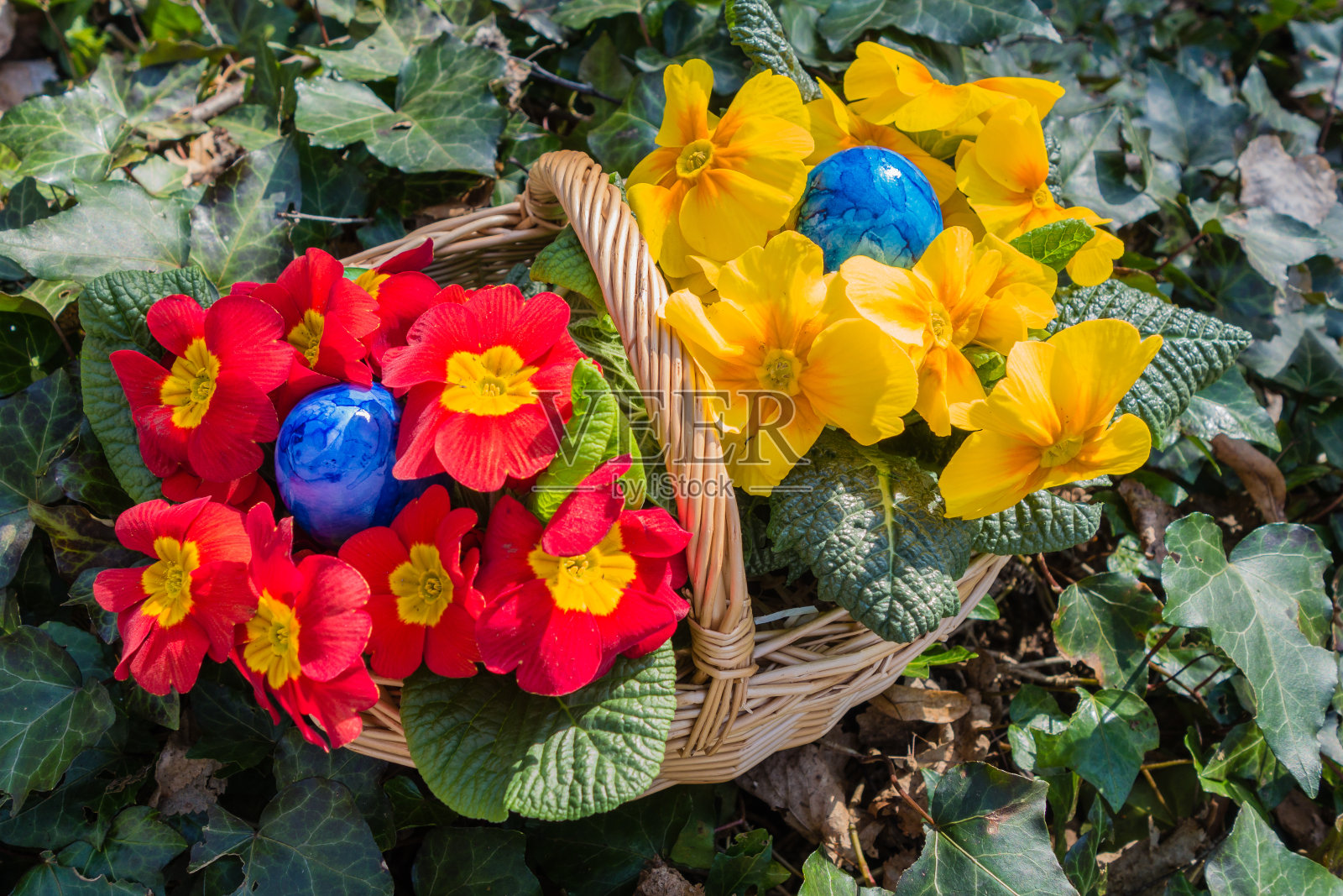 三色紫罗兰和复活节彩蛋的篮子照片摄影图片