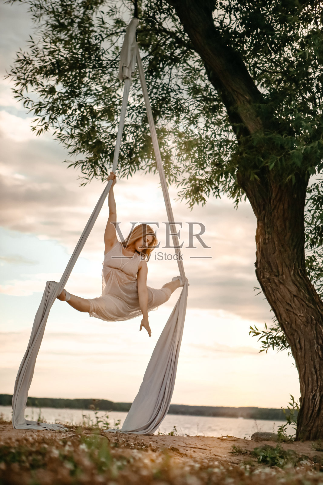 空中体操在大自然中靠近一棵树。照片摄影图片