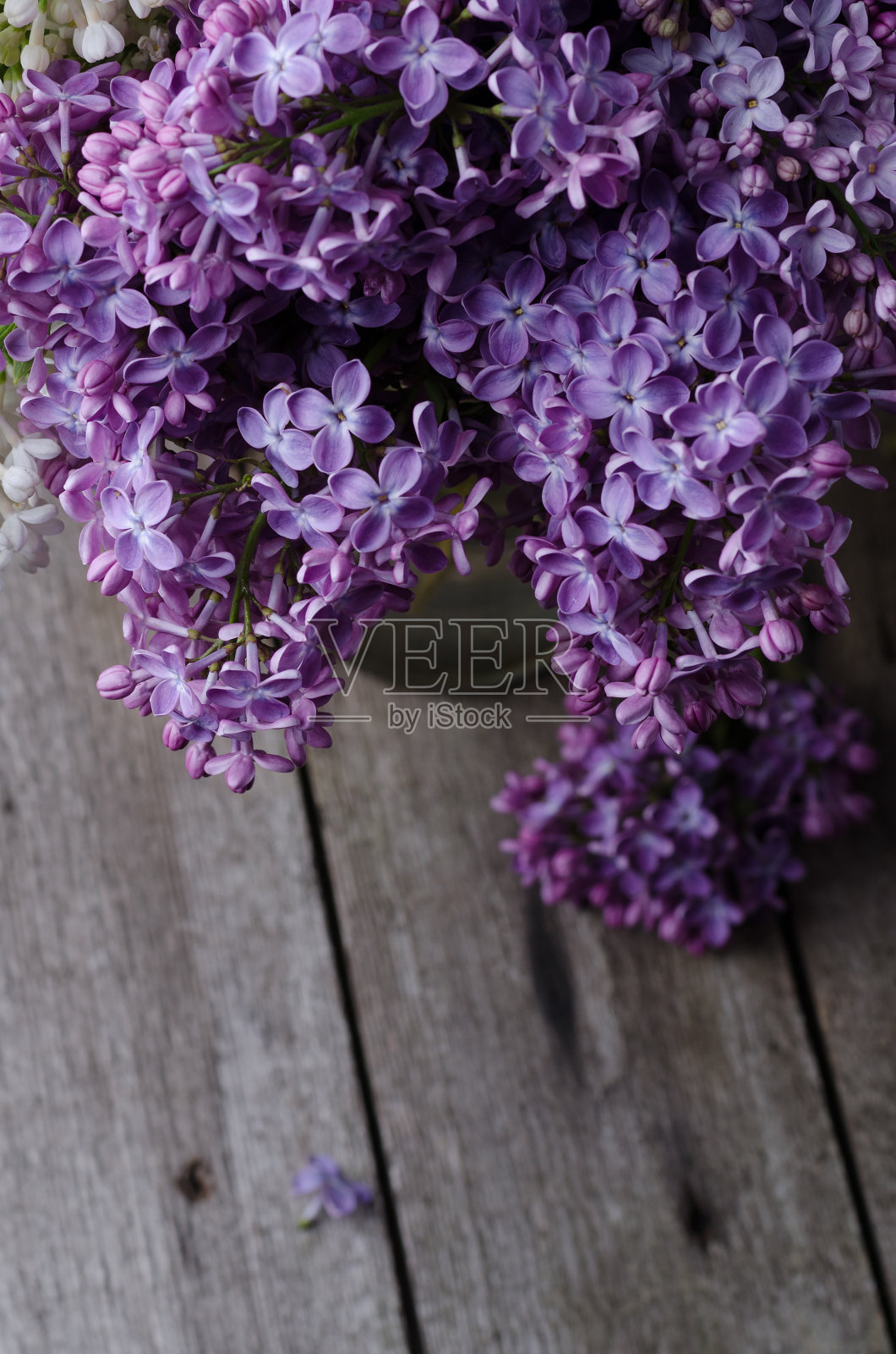 旧木头表面上的紫丁香花。春天节日的背景。照片摄影图片