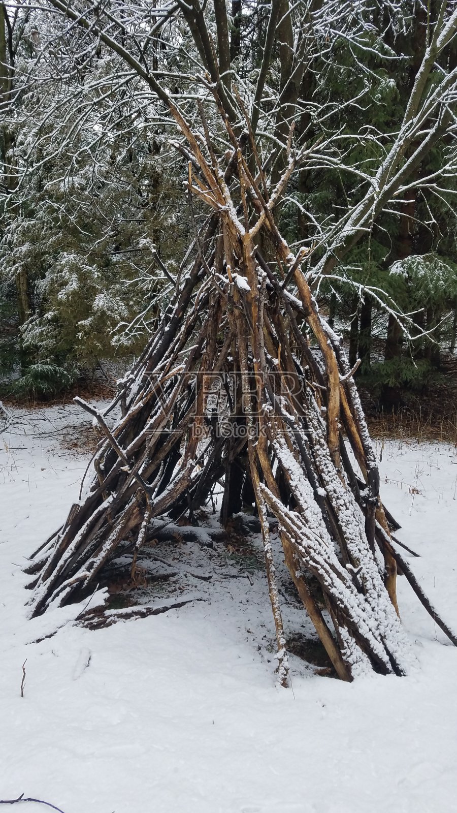 冬季森林中的小屋照片摄影图片