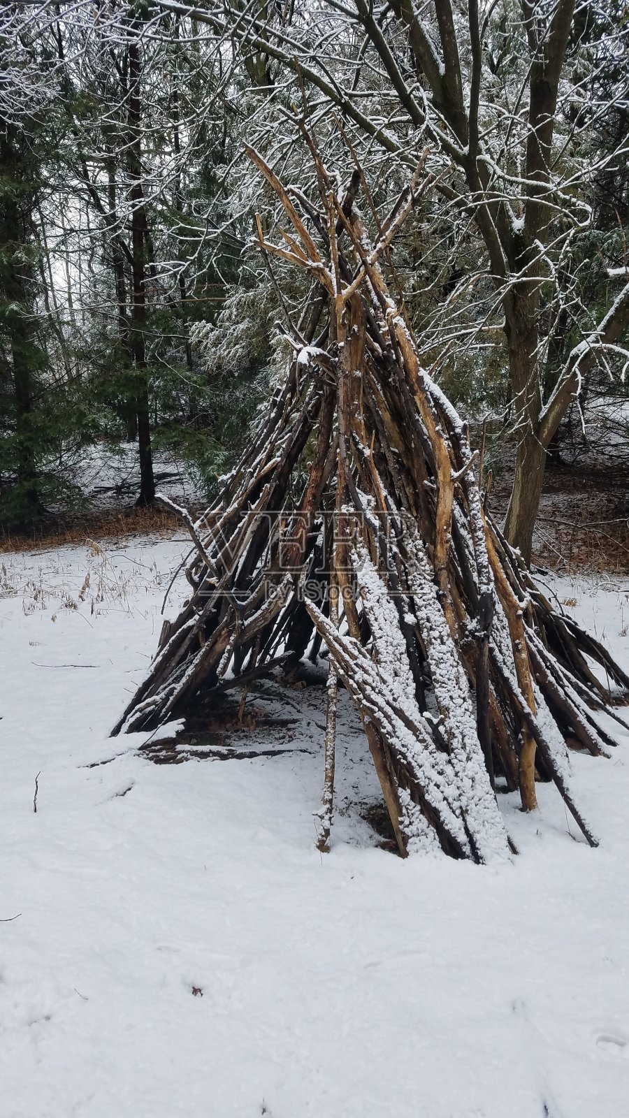 冬季森林中的小屋照片摄影图片