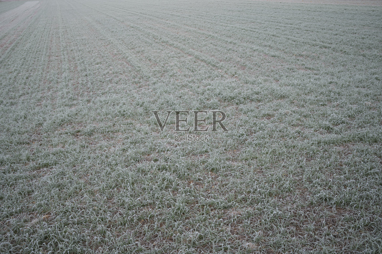 耕种的土地照片摄影图片