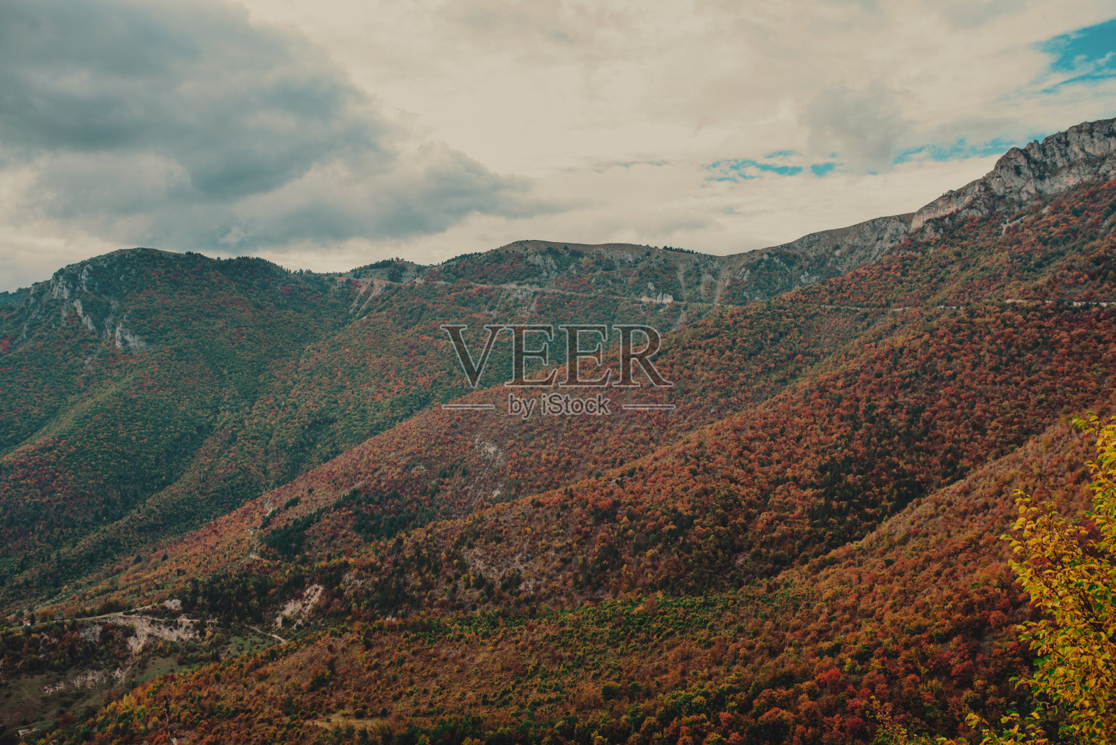 阳光明媚的秋路蜿蜒在森林里。鸟瞰图在秋天的山区蜿蜒的道路照片摄影图片