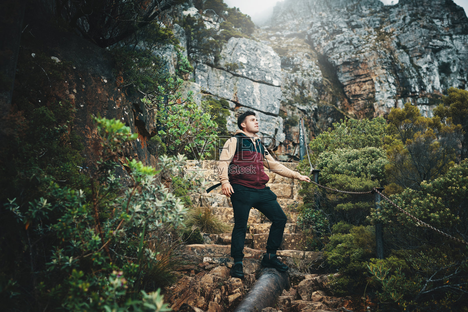 自然界的一切事物都有一些不可思议的地方照片摄影图片