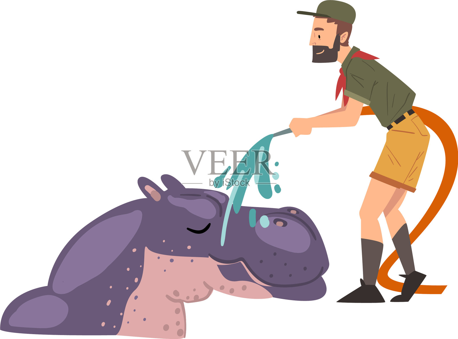 雄性动物园工作人员用淋浴器给河马洗澡设计元素图片