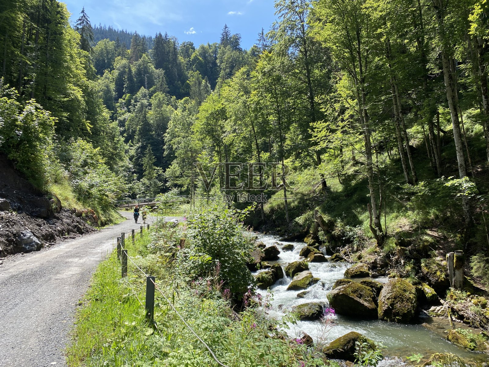 在布里恩茨湖(Brienzersee)和同名的自然公园-伯尔尼州，瑞士(坎顿伯尔尼，瑞士)的吉斯巴赫河照片摄影图片