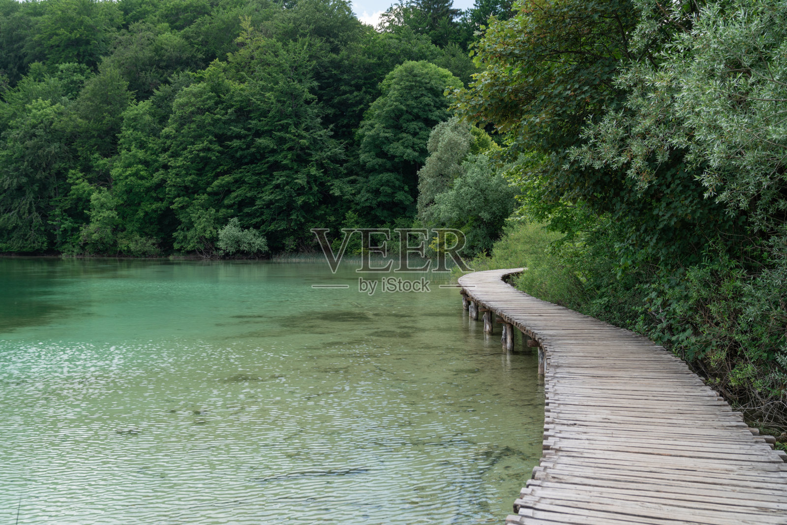 克罗地亚的Plitvice湖。观光的地方。很受游客欢迎。美丽的风景和自然。照片摄影图片
