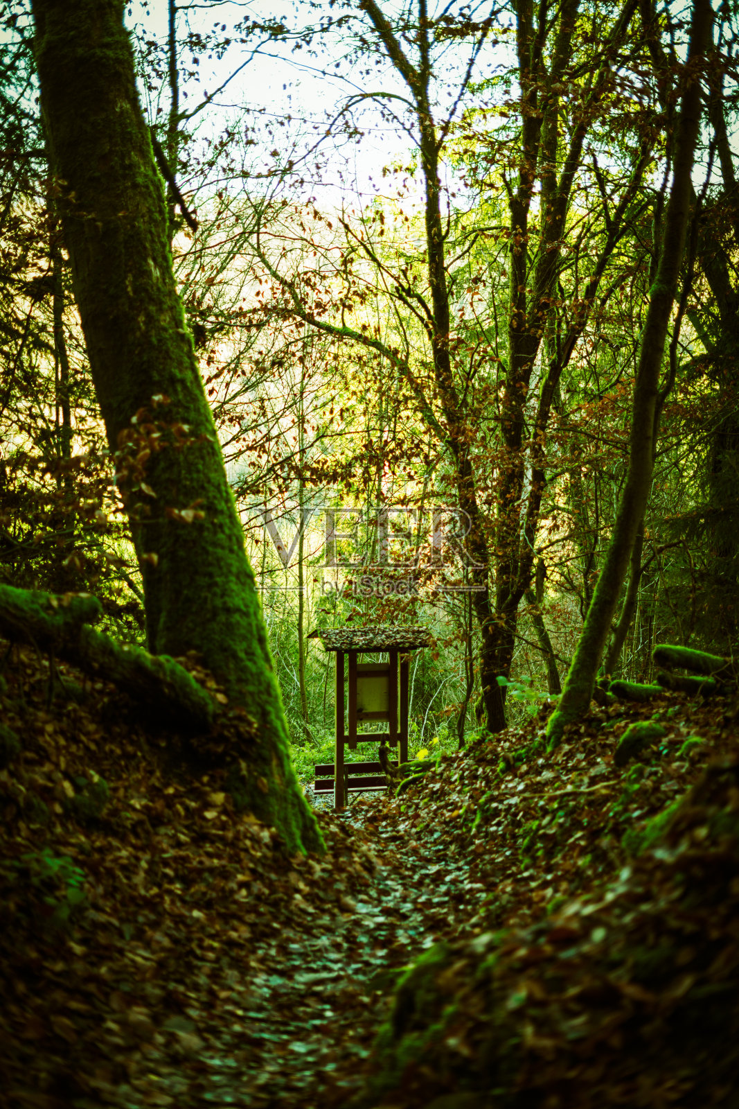 地狱谷的徒步旅行路线照片摄影图片