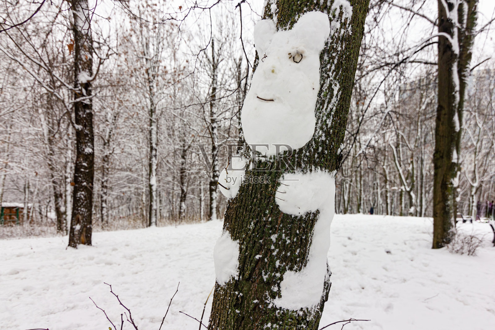 雪熊在公园里用雪做成的树上照片摄影图片
