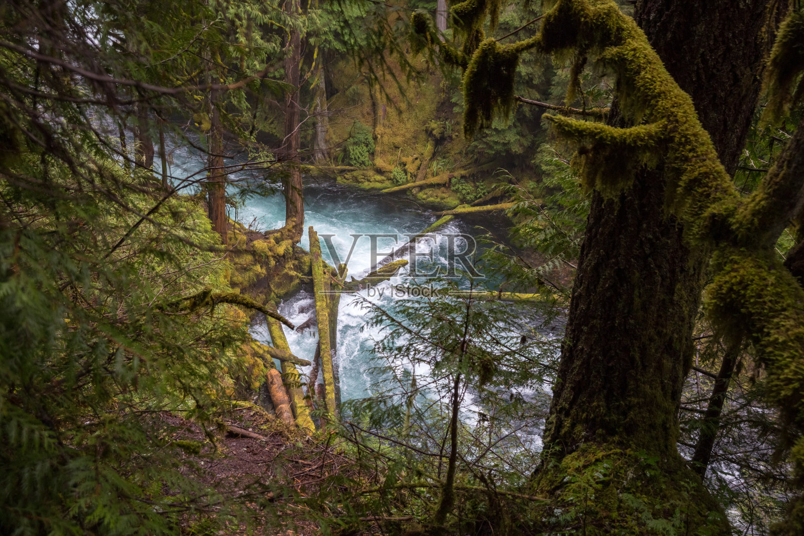俄勒冈州麦肯齐河五彩缤纷的风景照片摄影图片