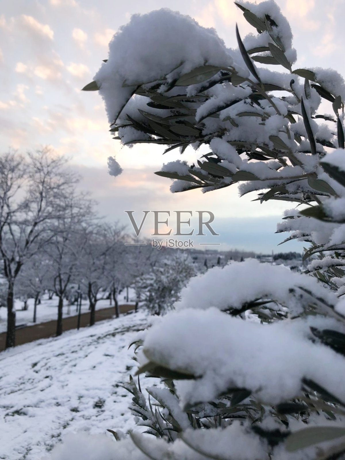 雪照片摄影图片