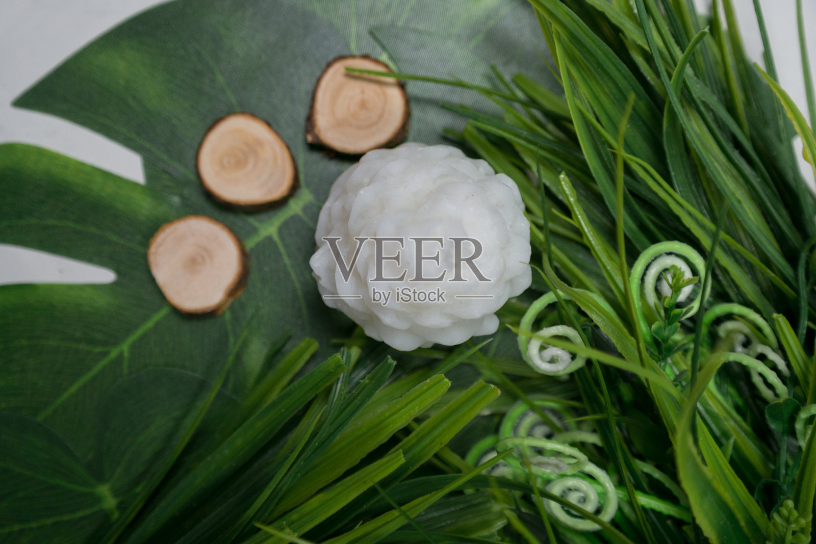 白色圆锥形，蜡烛状，周围有绿色叶子照片摄影图片