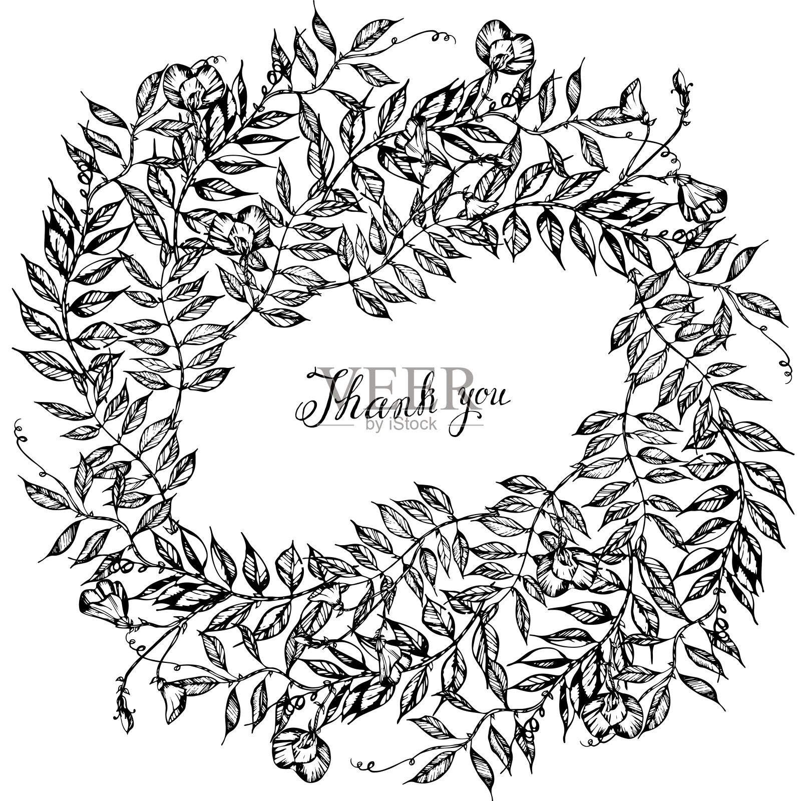 甜豌豆。漂亮的卡片给你。墨水。手工制作的。叶、花、芽。花环的花朵。邀请,t恤印花,剪贴簿。黑色和白色。彩色书插画图片素材