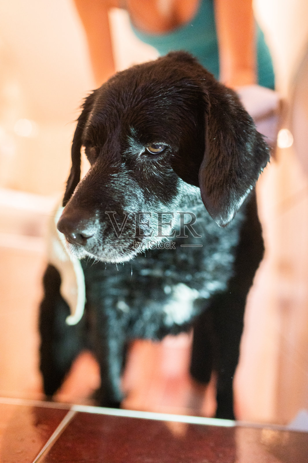 沐浴后干燥照片摄影图片