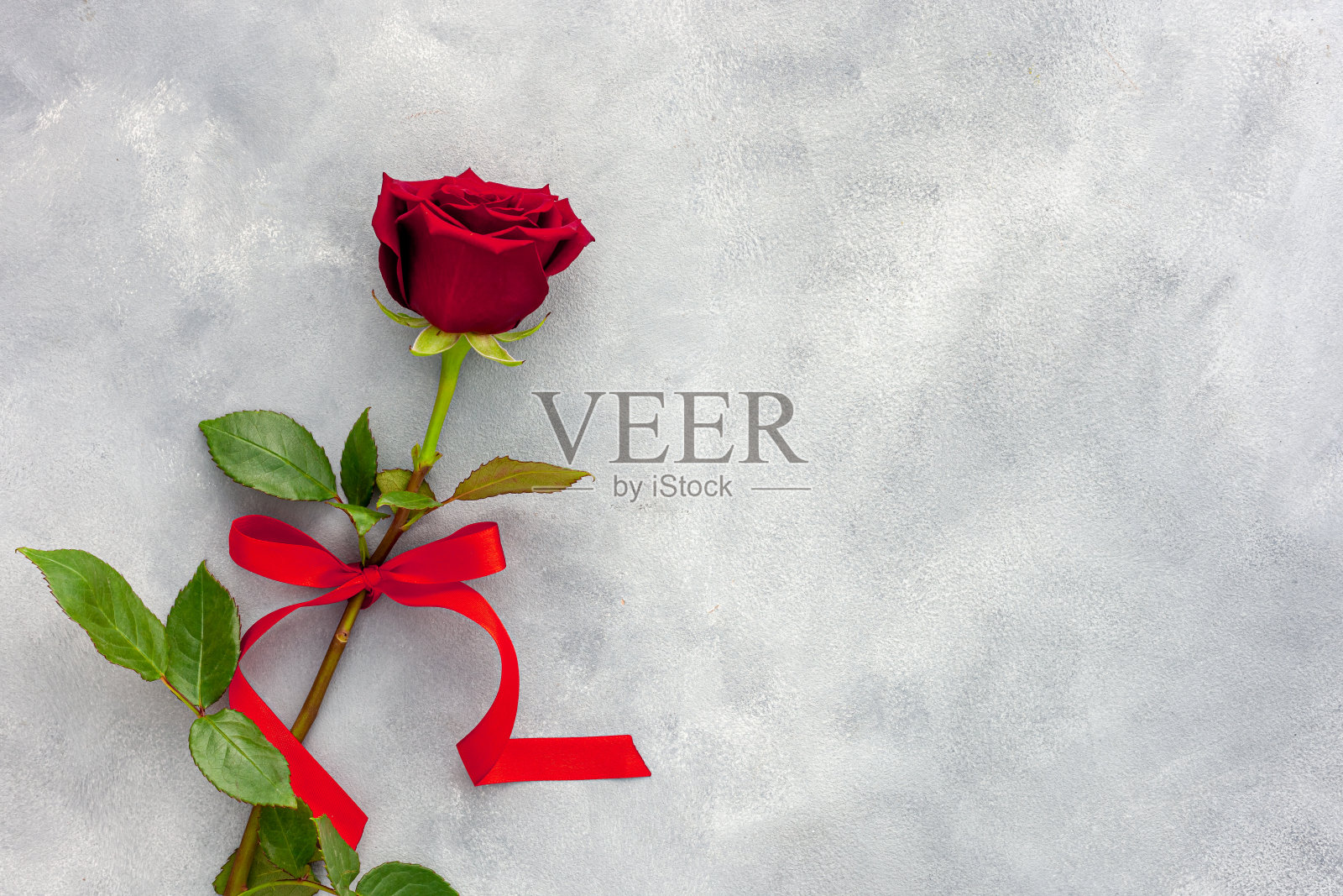 情人节。带着丝带的红玫瑰照片摄影图片