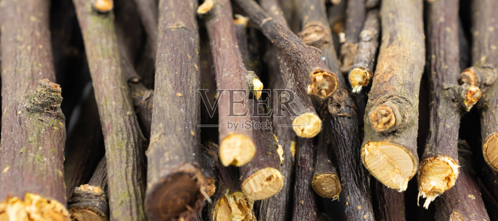 有明显细节的干苹果树枝。背景或textura照片摄影图片