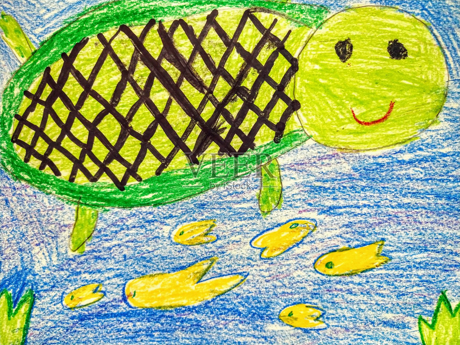 快乐的乌龟照片摄影图片