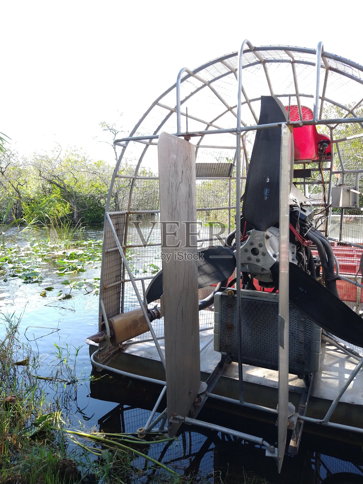 大沼泽地里的汽艇照片摄影图片