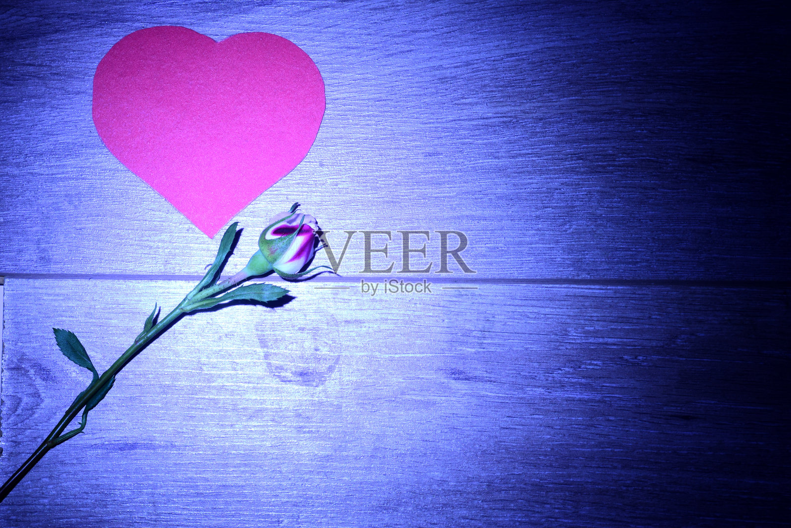 情人节贺卡上有一颗红心和一朵玫瑰。照片摄影图片