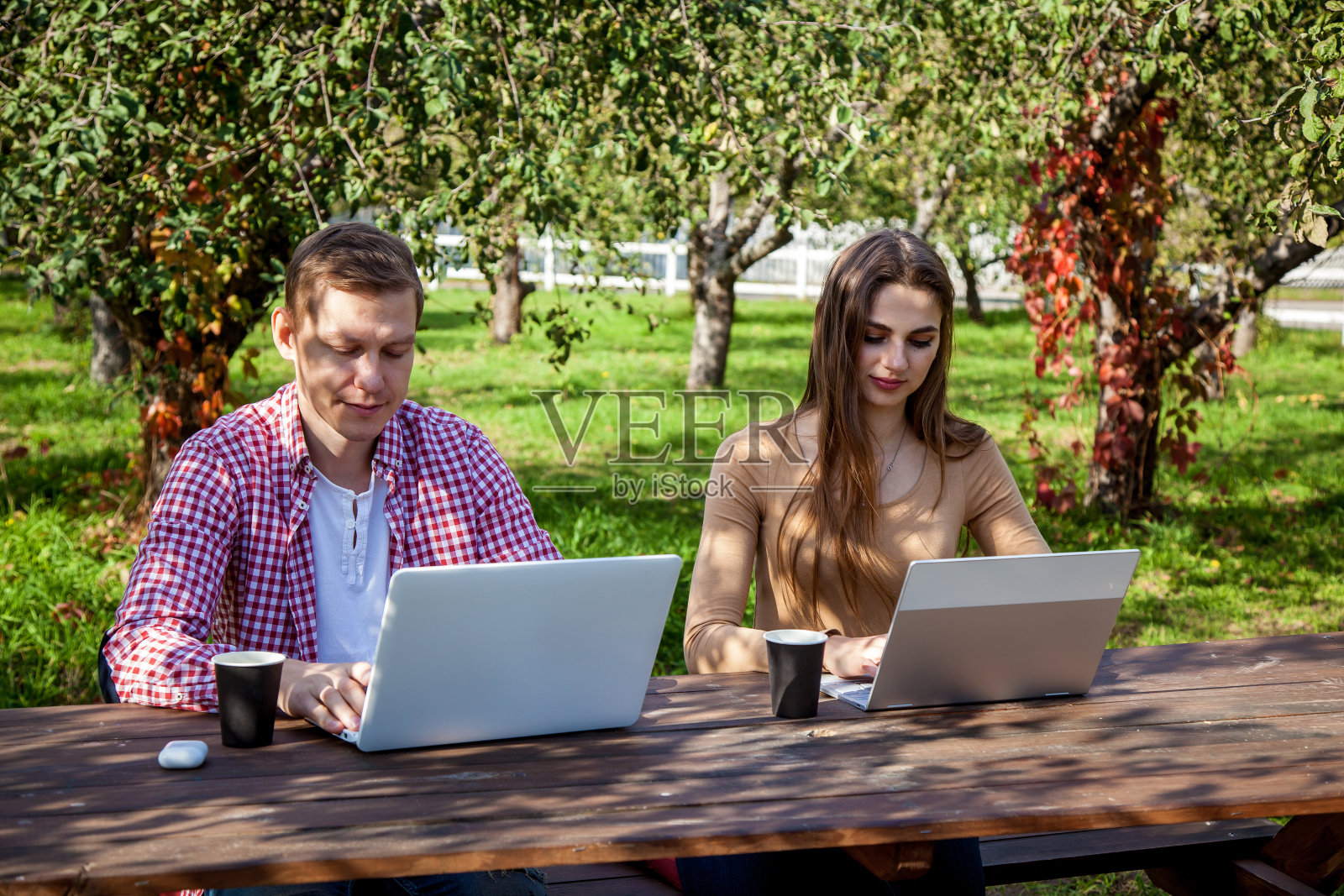 一个男人和一个女孩在公园里玩笔记本电脑照片摄影图片