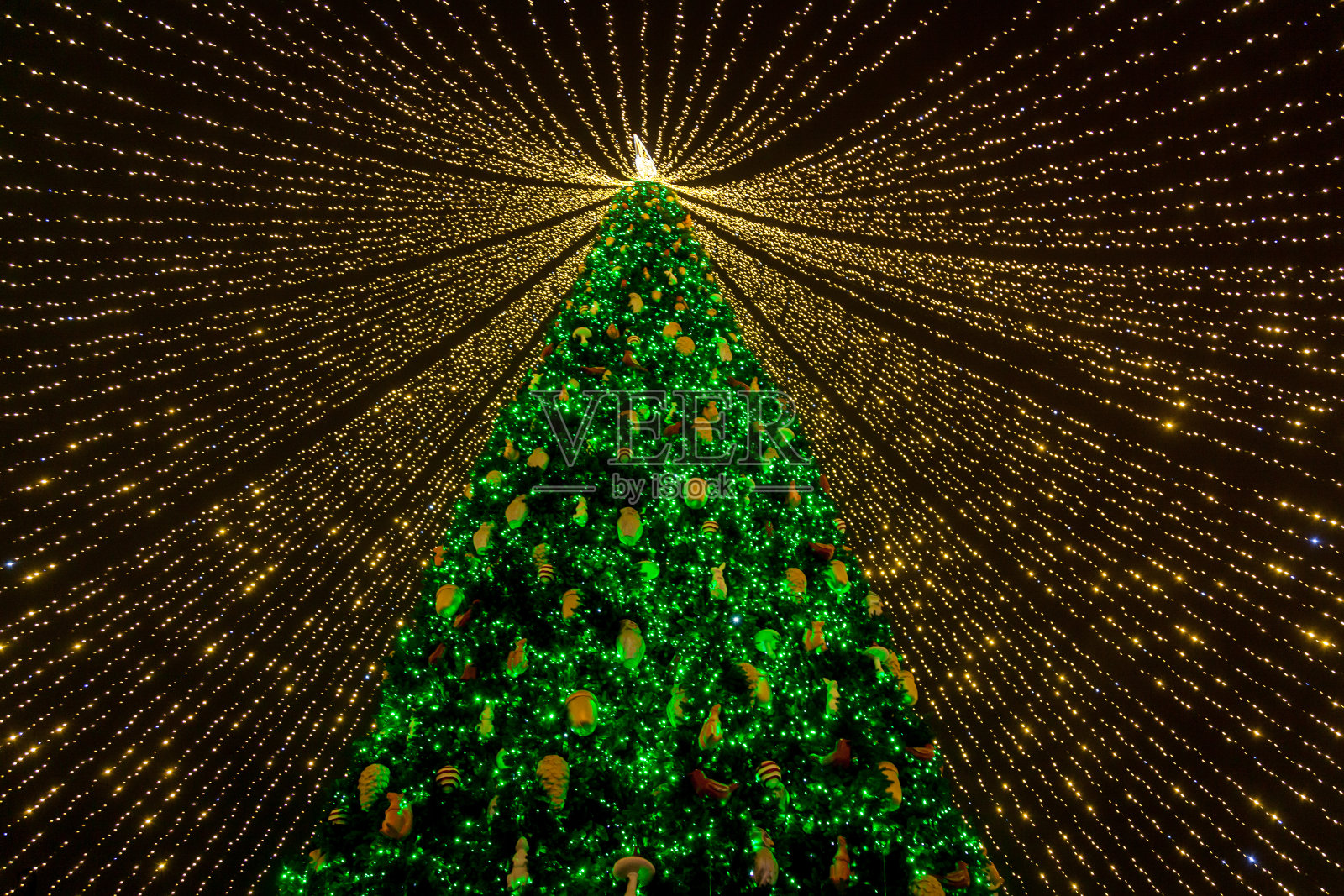 基辅的圣诞树照片摄影图片