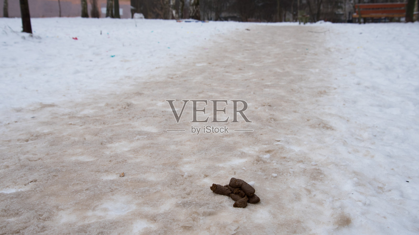 积雪的小路上有一堆狗屎。危害和污染概念照片摄影图片
