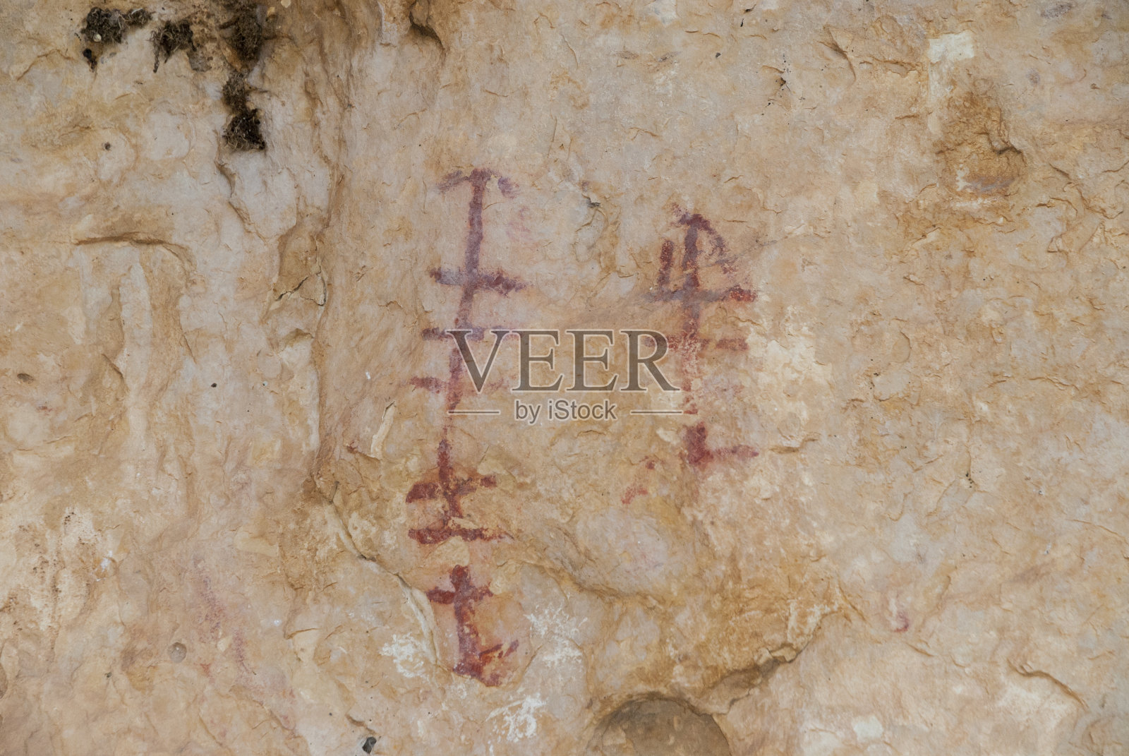 duraton峡谷的石灰岩上的鹰的翻领上的红色岩石画可以追溯到青铜时代照片摄影图片