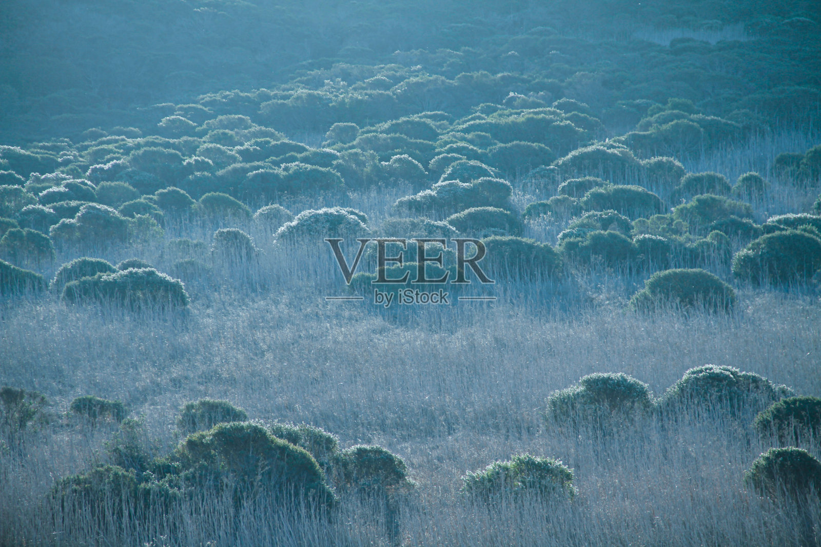 早晨的风景照片摄影图片