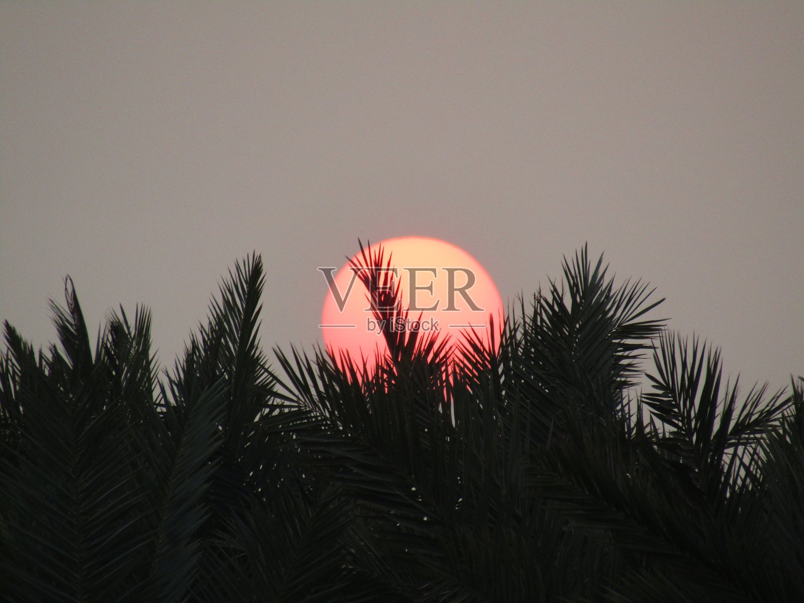 日落照片摄影图片