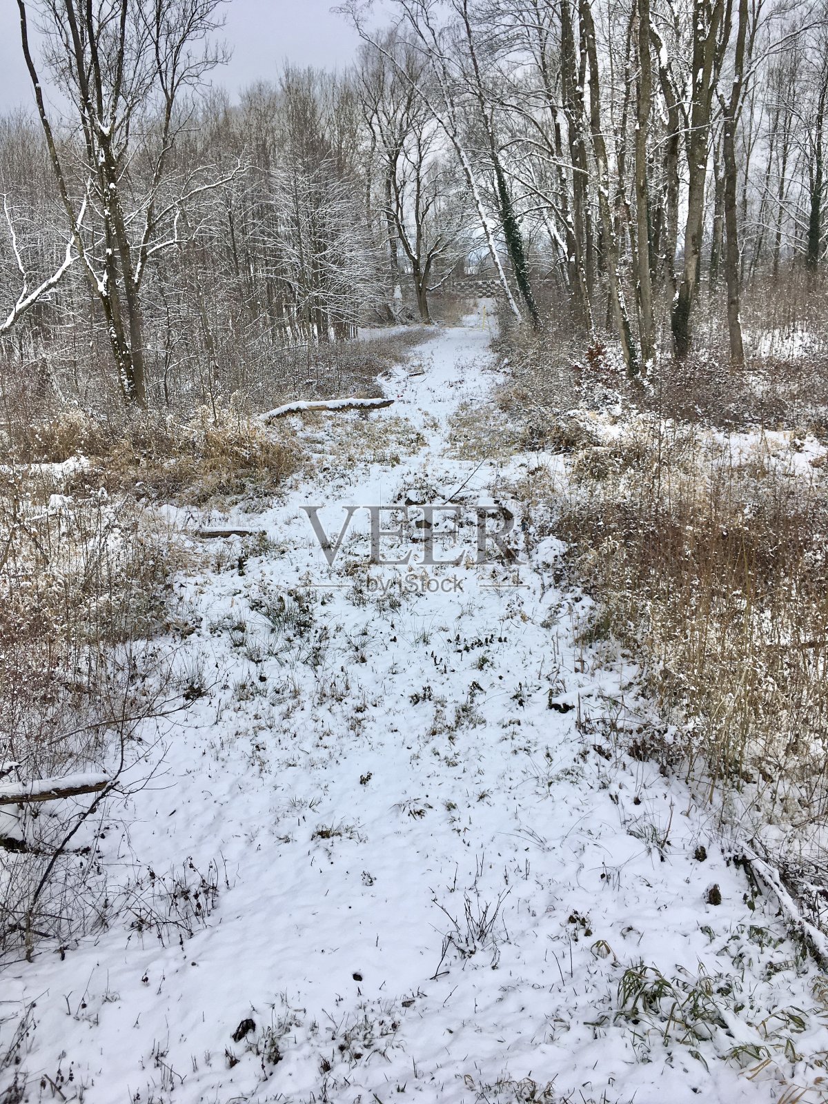 在白雪覆盖的河岸上沿着河走。照片摄影图片