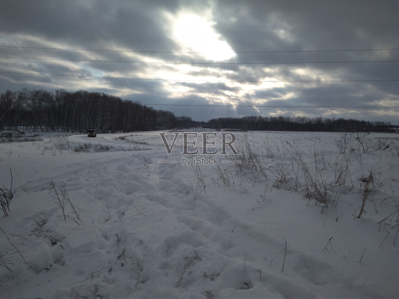 白色的雪在冬天多云的天气在西伯利亚的森林里照片摄影图片