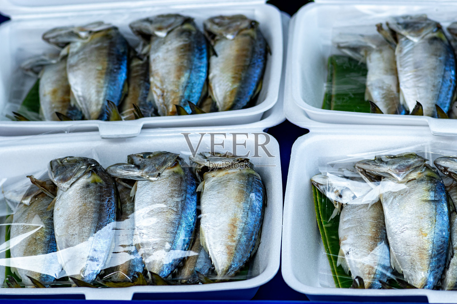 泰国市场上的塑料托盘包装的长尾金枪鱼照片摄影图片