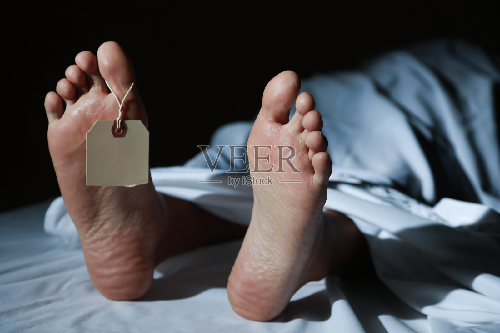 医生和药剂师照片摄影图片