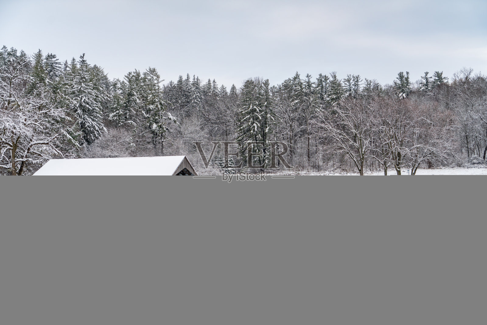 加拿大沃恩温特的伍德布里奇博伊德保护公园照片摄影图片