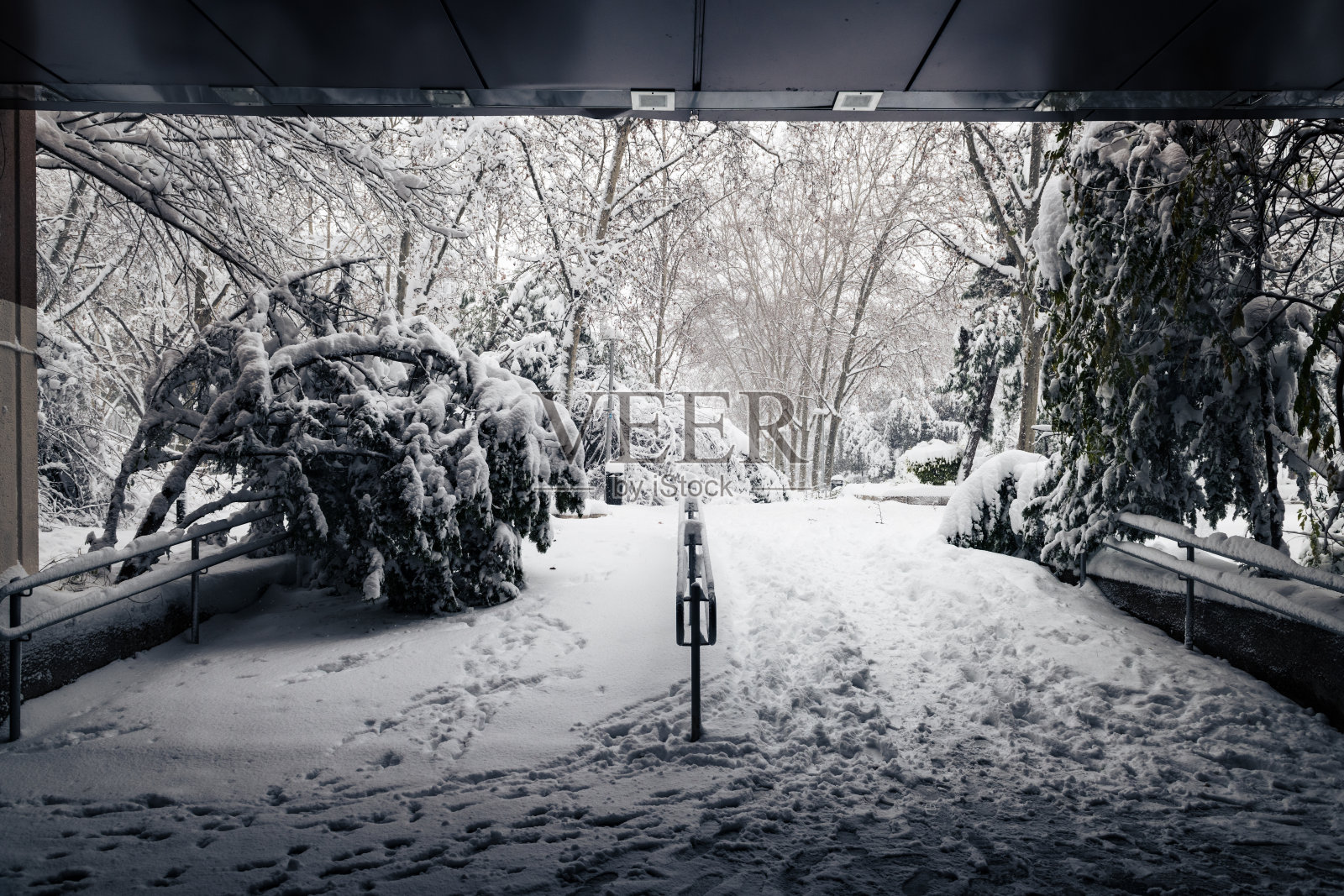 马德里下着雪的公园照片摄影图片