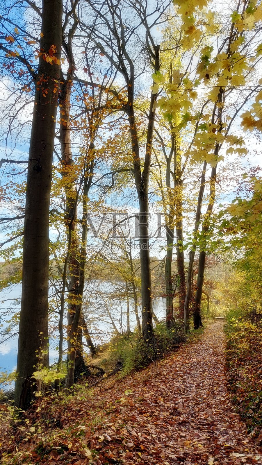 Amtssee的小路照片摄影图片