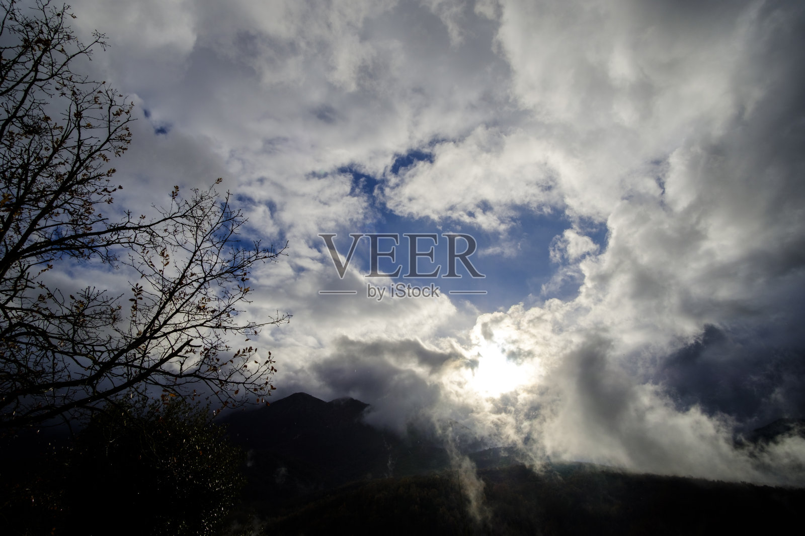 蓝天上的白云，阳光照耀着冬日的树枝剪影照片摄影图片