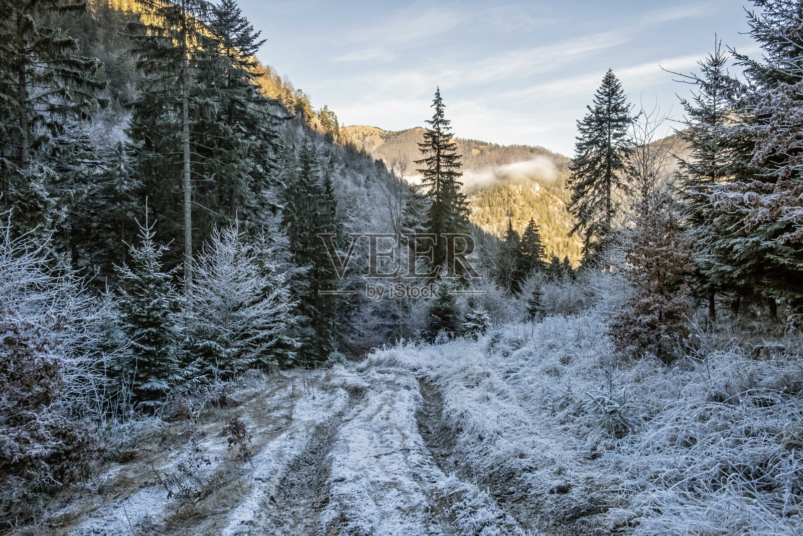 季节性的自然景观，大法特拉山脉，斯洛伐克照片摄影图片