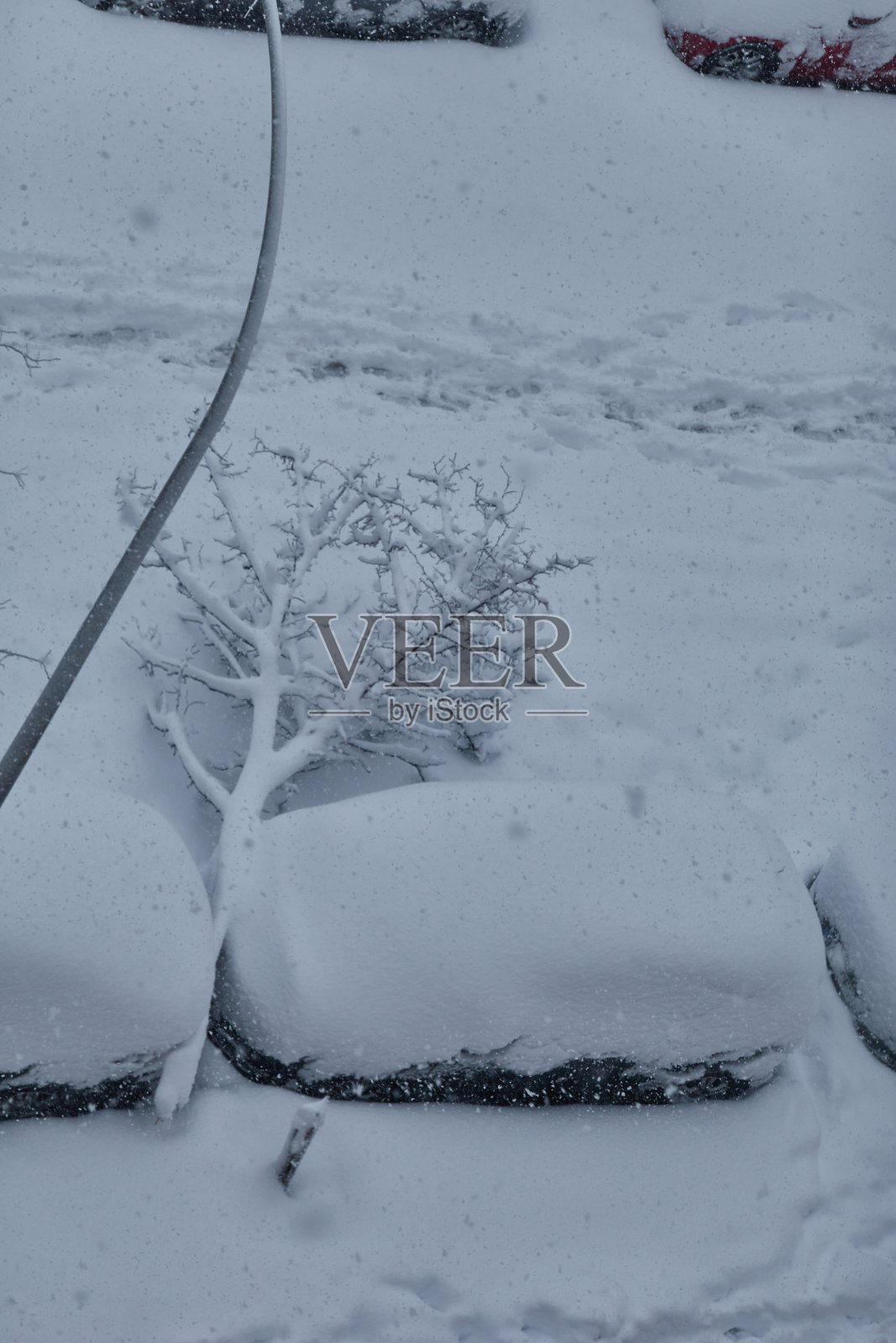 暴风雨菲洛梅娜在马德里拉斯Águilas社区的街道上留下了历史性的降雪。西班牙照片摄影图片